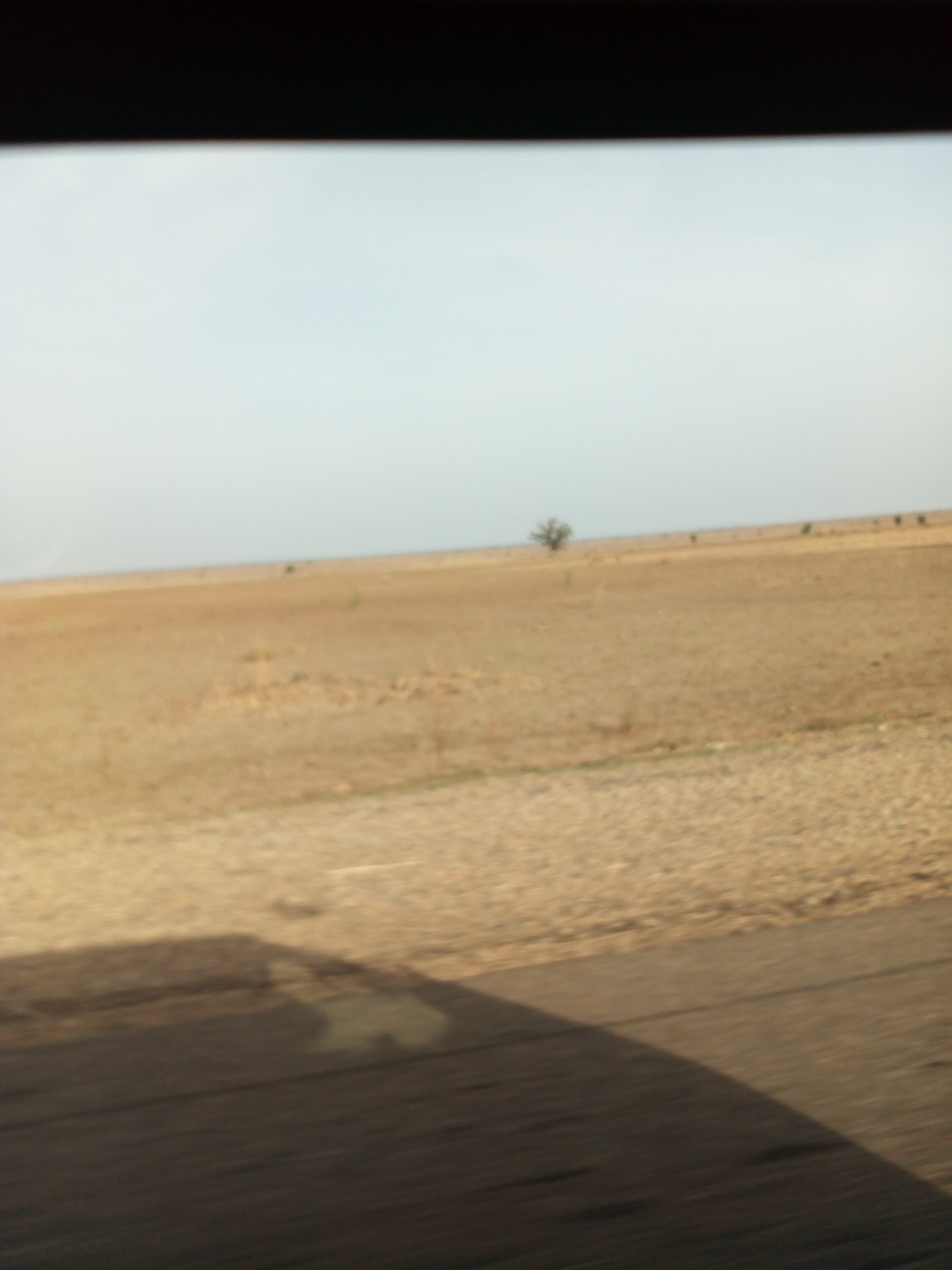 Adamawa savannah landscape